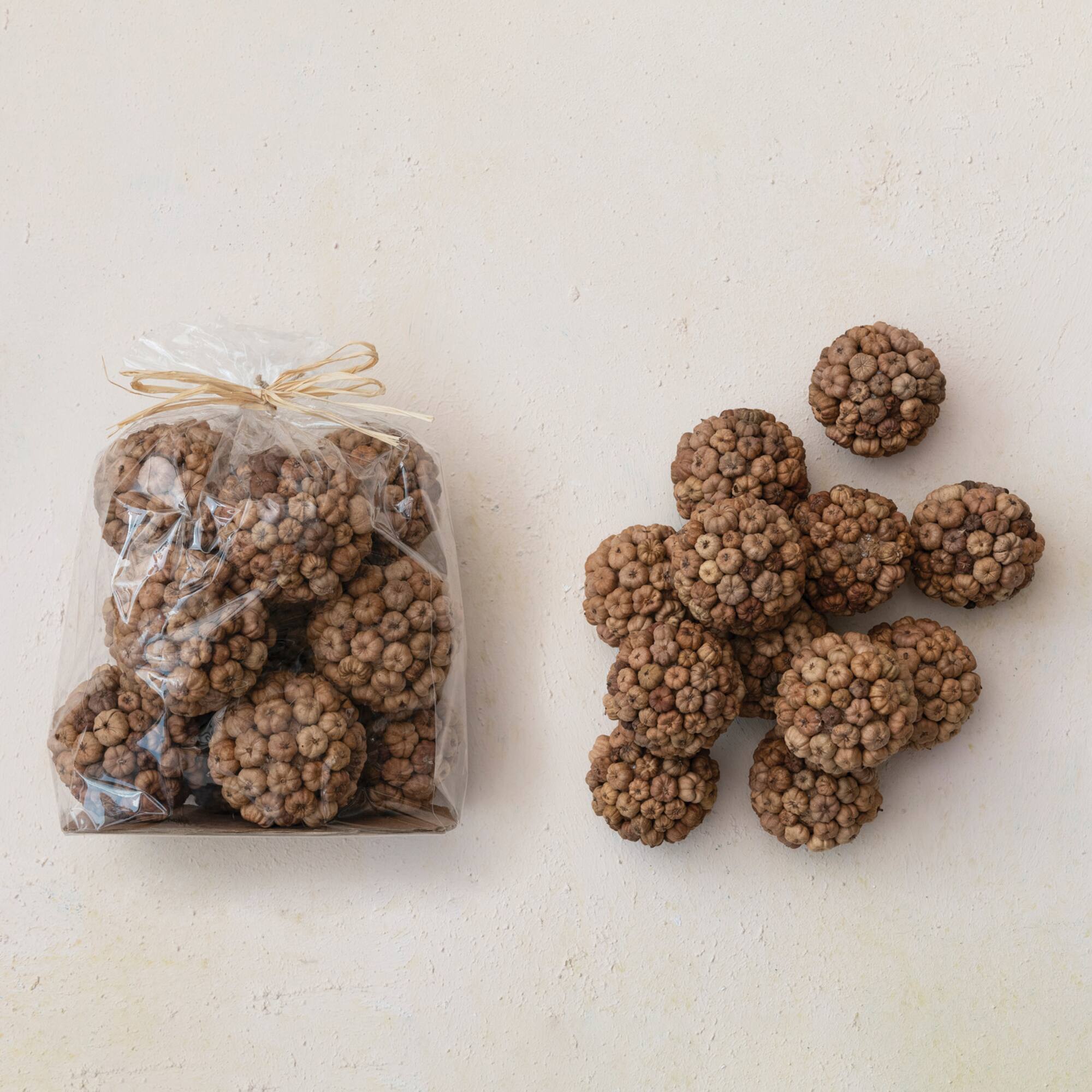 Hello Honey® Round Dried Natural Peepal Pod Orbs, 12ct.